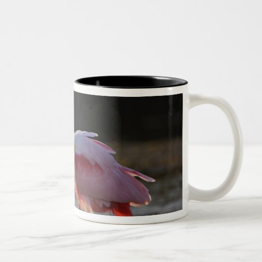 Roseate Spoonbill, Ajaia ajaja, Ding Darling Tweekleurige Koffiemok (Rechts)
