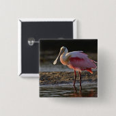 Roseate Spoonbill, Ajaia ajaja, Ding Darling Vierkante Button 5,1 Cm (Voorkant /achterkant)