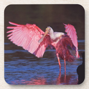 Roseate Spoonbill (Ajaia ajaja) met aalscholver Bier Onderzetter