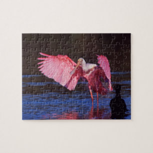 Roseate Spoonbill (Ajaia ajaja) met aalscholver Legpuzzel