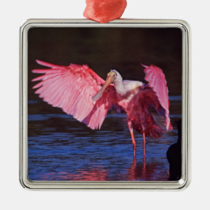 Roseate Spoonbill (Ajaia ajaja) met aalscholver Metalen Ornament