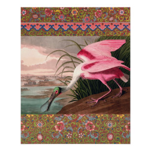 Roseate Spoonbill Audubon Bird Wildlife Perfect Poster