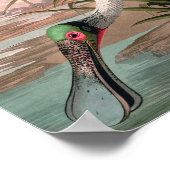 Roseate Spoonbill Audubon Bird Wildlife Poster (Hoek)