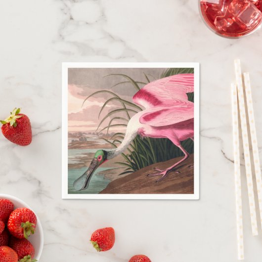 Roseate Spoonbill Audubon Bird Wildlife Servetten (Insitu)