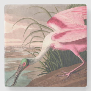 Roseate Spoonbill Audubon Bird Wildlife Stenen Onderzetter