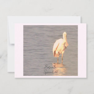 Roseate Spoonbill Bird Photo Briefkaart