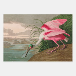 Roseate Spoonbill Birds of America Audubon Print Inpakpapier Vel