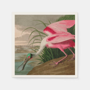 Roseate Spoonbill Birds of America Audubon Print Servet
