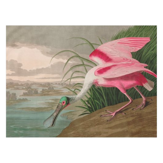 Roseate Spoonbill Birds of America Audubon Print Tafelkleed (Voorkant (Horizontaal))