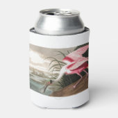 Roseate Spoonbill  Blikjeskoeler (Blikje Voorkant)