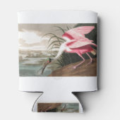 Roseate Spoonbill  Blikjeskoeler (Achterkant)