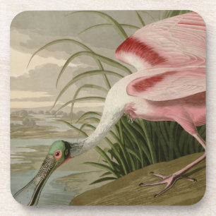 Roseate Spoonbill Drankjes Onderzetter
