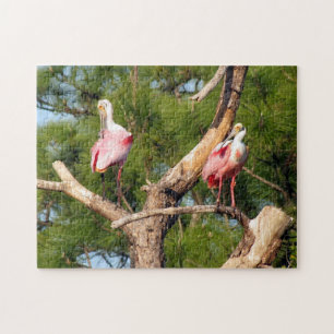 Roseate Spoonbill Jigzaag Puzzle Legpuzzel