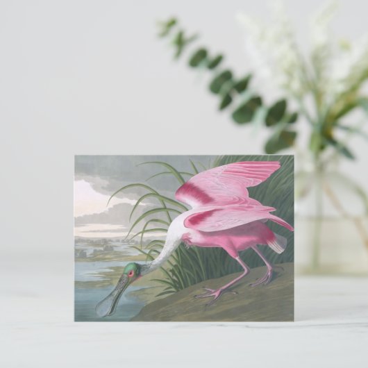 Roseate Spoonbill, John James Audubon Fine Art Briefkaart (Staand voorkant)