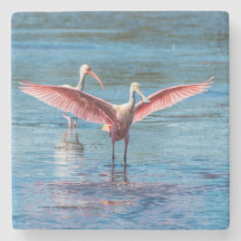 Roseate Spoonbill Marble Stone Onderzetter