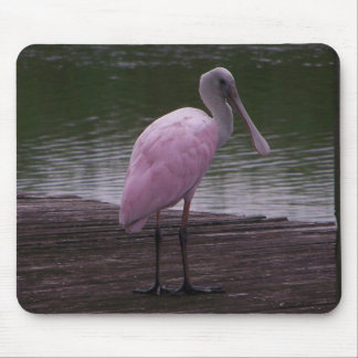 Roseate Spoonbill Muismat
