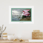 Roseate Spoonbill Poster (Keuken)