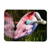 Roseate Spoonbill Puzzel Magneet (Horizontaal)