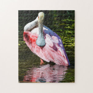 Roseate Spoonbill Puzzle Legpuzzel