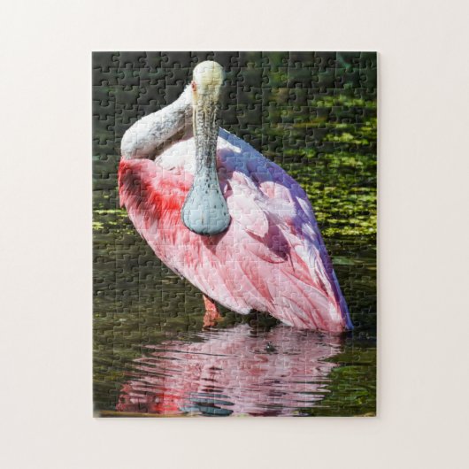 Roseate Spoonbill Puzzle Legpuzzel (Verticaal)