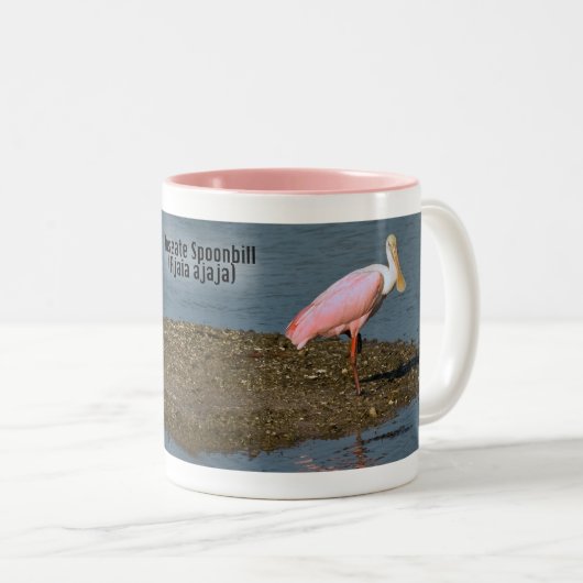 Roseate Spoonbill Reflectie Tweekleurige Koffiemok (Voorkant rechts)