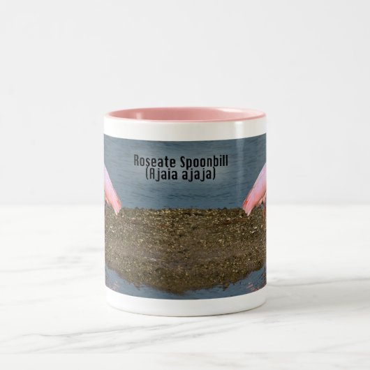 Roseate Spoonbill Reflectie Tweekleurige Koffiemok (Center)