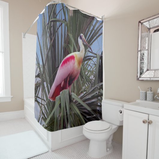 Roseate Spoonbill rideau de douche (En situation)