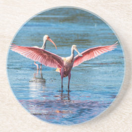 Roseate Spoonbill Sandstone Drink Onderzetter