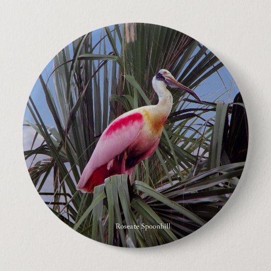 Roseate Spoonbill-toets Ronde Button 4,0 Cm (Voorkant)