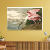 Roseate Spoonbill uit Audubon's Birds of America Canvas Afdruk (Insitu (Woonkamer))