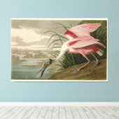 Roseate Spoonbill uit Audubon's Birds of America Canvas Afdruk (Insitu (Houten vloer))