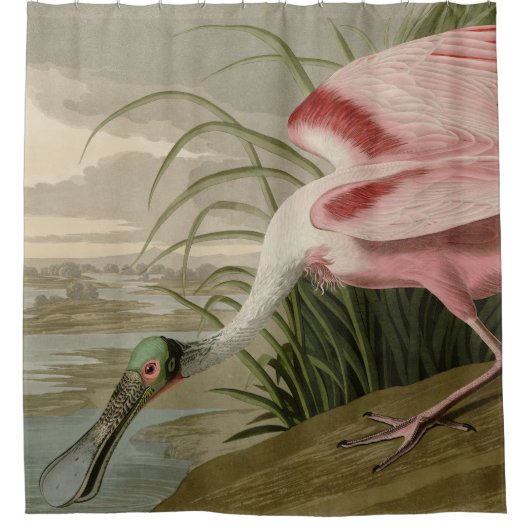 Roseate Spoonbill uit Audubon's Birds of America Douchegordijn (Voorkant)
