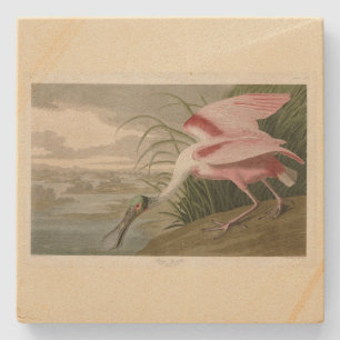 Roseate Spoonbill uit Audubon's Birds of America Stenen Onderzetter
