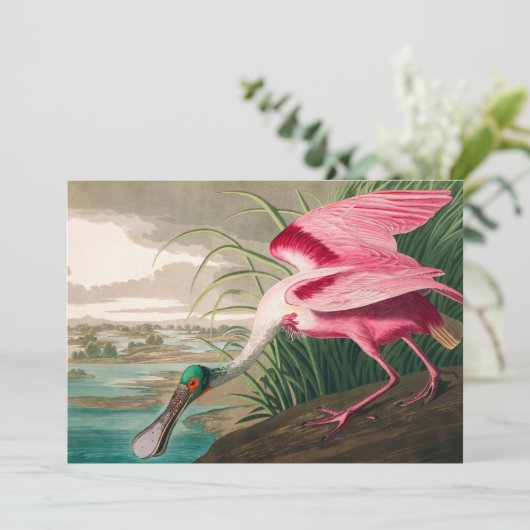 Roseate Spoonbill van John James Audubon Bedankkaart (Staand voorkant)