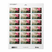 Roseate Spoonbill van John James Audubon Etiket (Full Sheet)