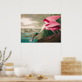 Roseate Spoonbill van John James Audubon Poster (Keuken)