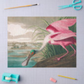 Roseate Spoonbill van John James Audubon Tissuepapier (Craft)