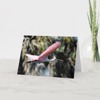 Roseate Spoonbill Was van de Waterverf Kaart