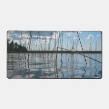 Roseaux et reflets sur le lac Rice