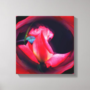 Rosebud Abstracte Floral Canvas Afdruk
