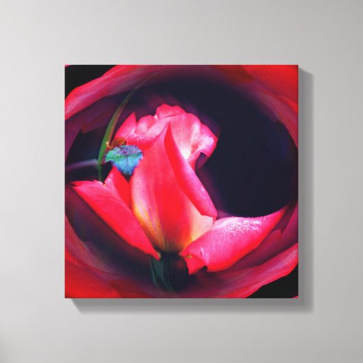 Rosebud Abstracte Floral Canvas Afdruk (Voorkant)