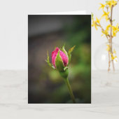 Rosebud, carte (Fleur jaune)