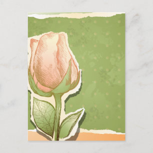 rosebud in groen, briefkaart