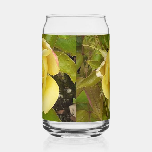 Rosebud jaune (Gauche)