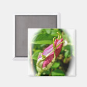 Rosebud Magnet Magneet (Voorkant / Achterkant)
