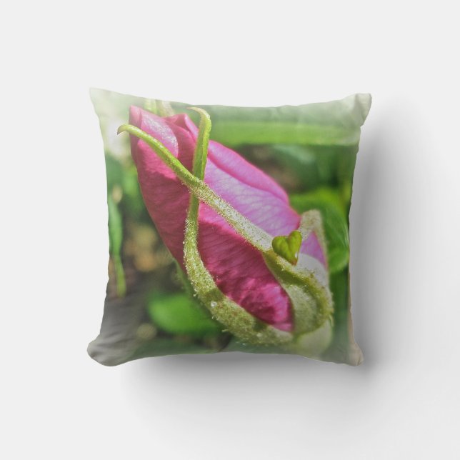 Rosebud Roos Kussen (Voorkant)