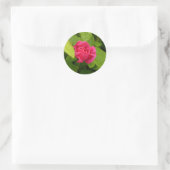 Rosebud sticker (Tas)