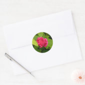 Rosebud sticker (Envelop)