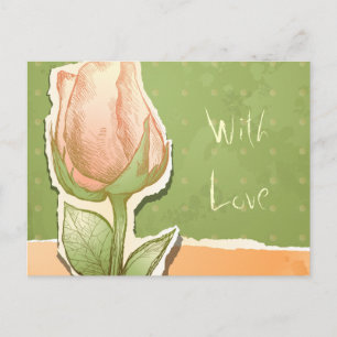 Rosebud vintage en vert, carte postale