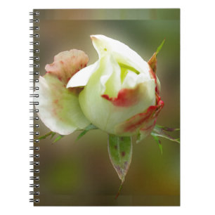rosebuds gloeien notitieboek